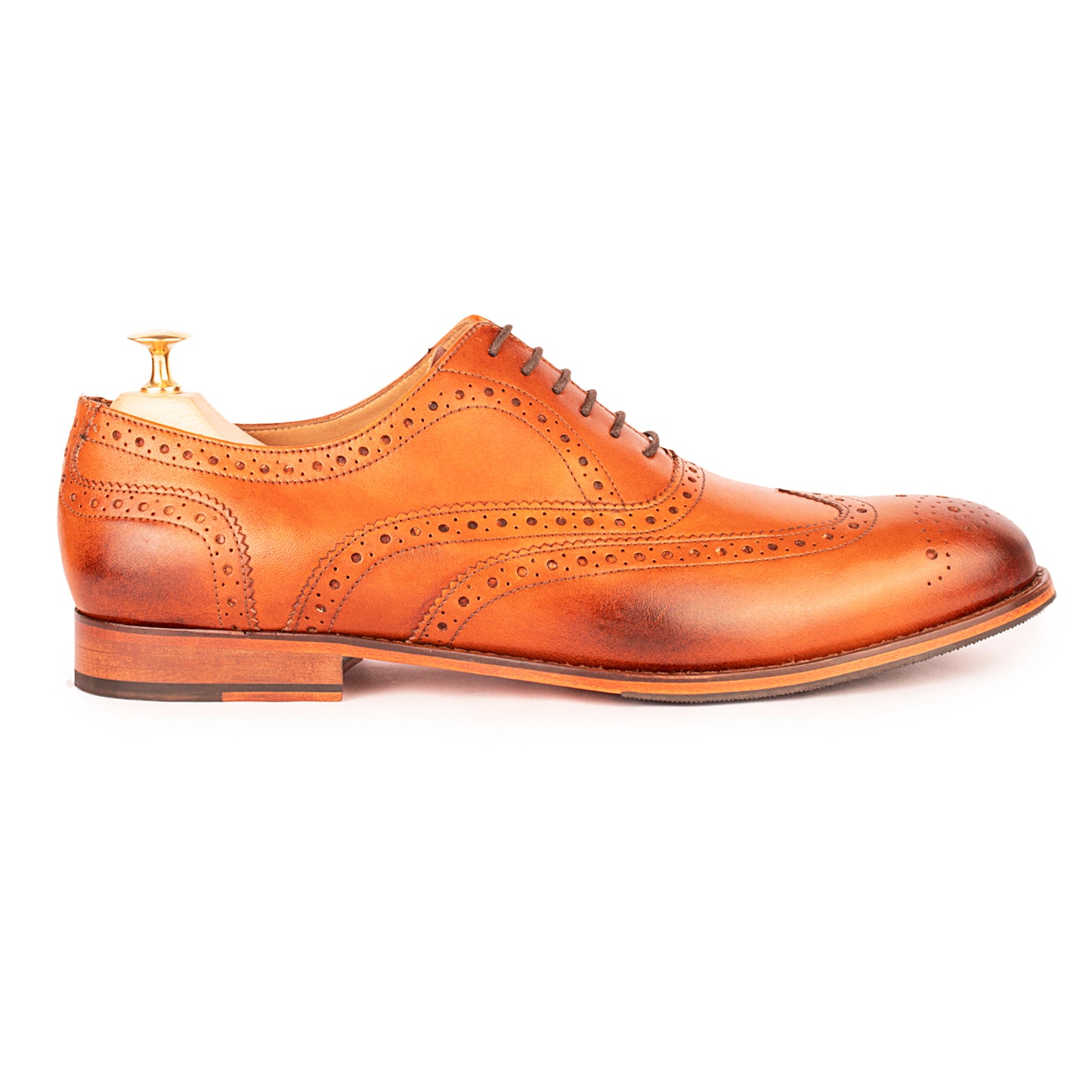 Tan Brogues : The Vega in Tan