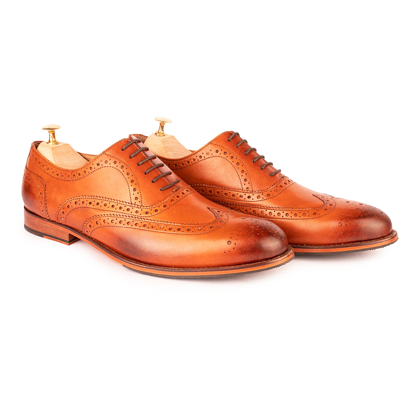 Tan Brogues : The Vega in Tan