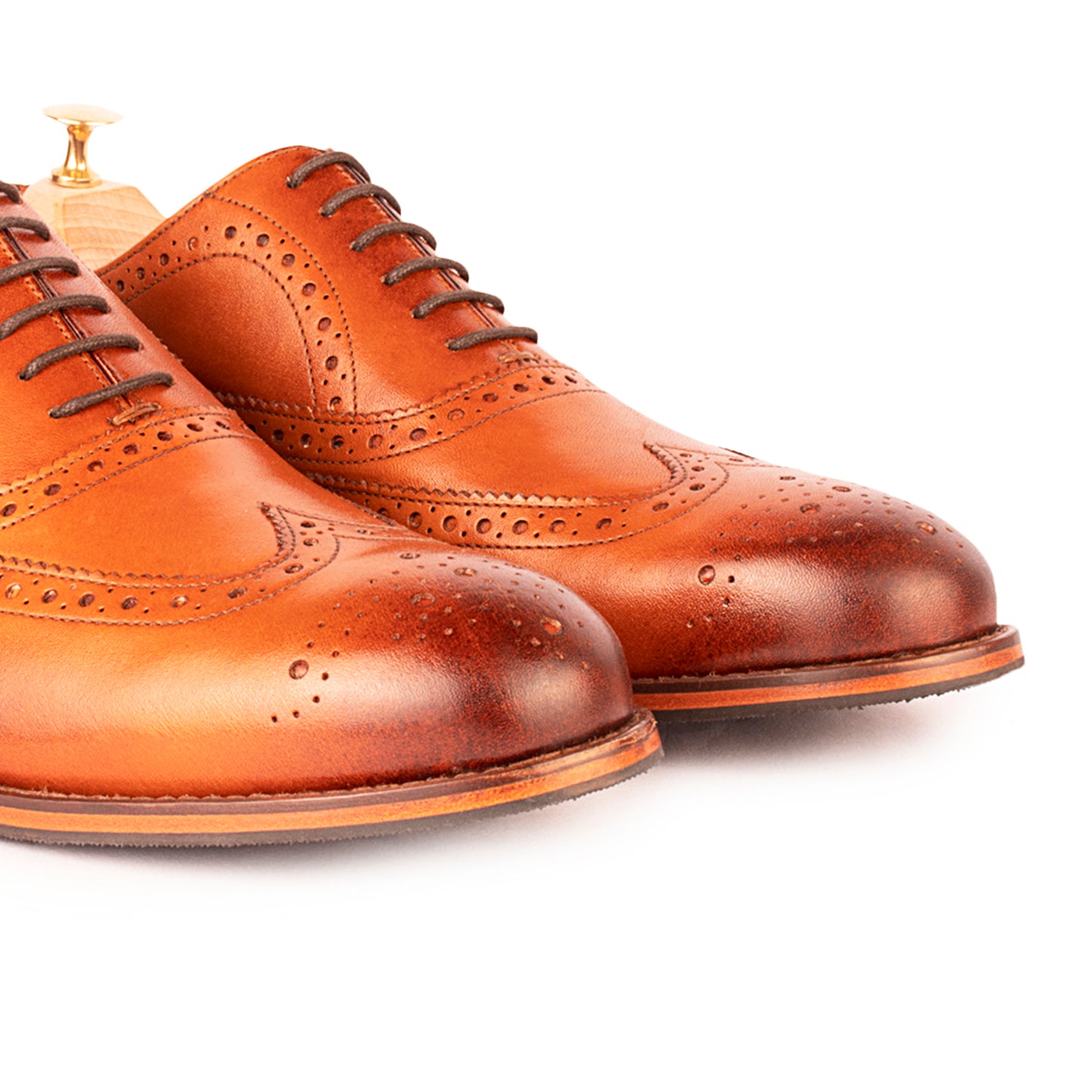 Tan Brogues : The Vega in Tan