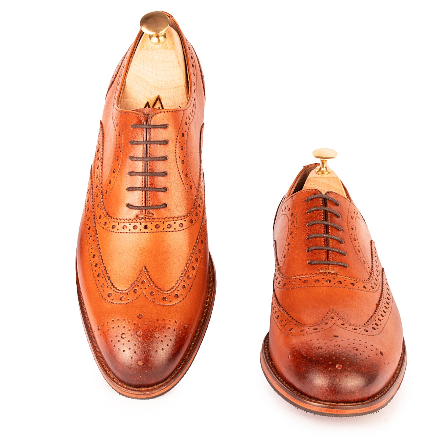 Tan Brogues : The Vega in Tan