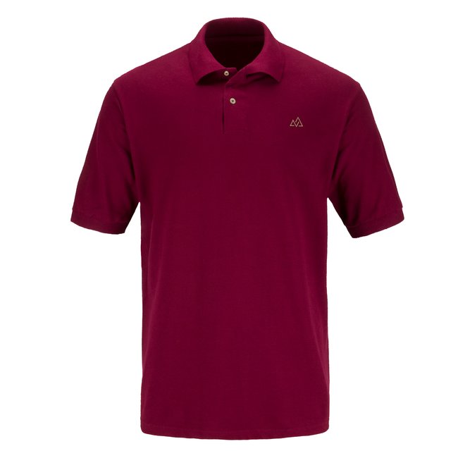 Polo homme marron
